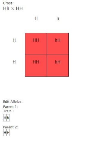 Punnett Square Demonstration
